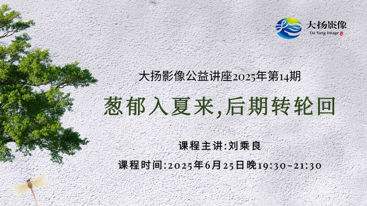 葱郁入夏来，后期转轮回